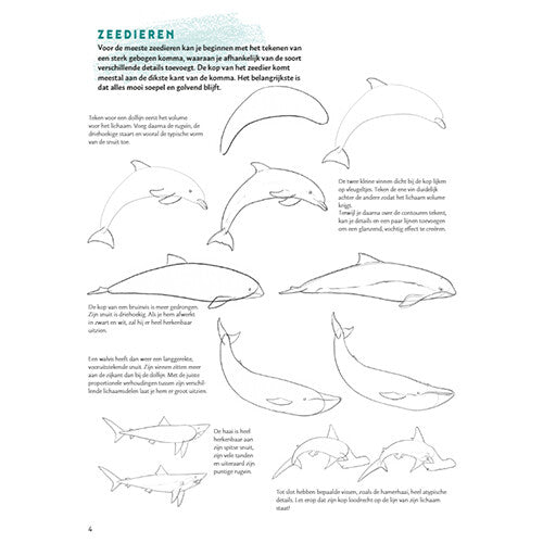 uitgeverij deltas stap voor stap dieren leren tekenen | 0101946 | 4
