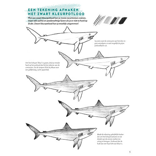uitgeverij deltas stap voor stap dieren leren tekenen | 0101946 | 5