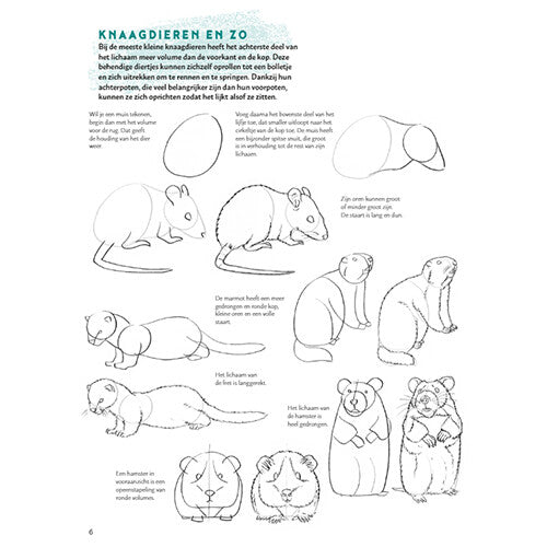 uitgeverij deltas stap voor stap dieren leren tekenen | 0101946 | 6