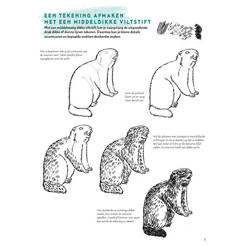 uitgeverij deltas stap voor stap dieren leren tekenen | 0101946 | 7