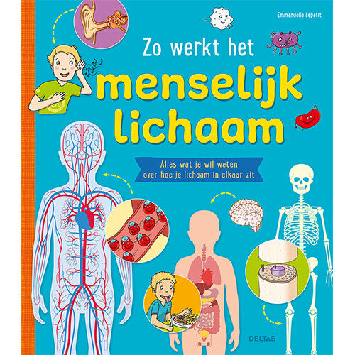 uitgeverij deltas zo werkt het menselijk lichaam | 0401230 | 0