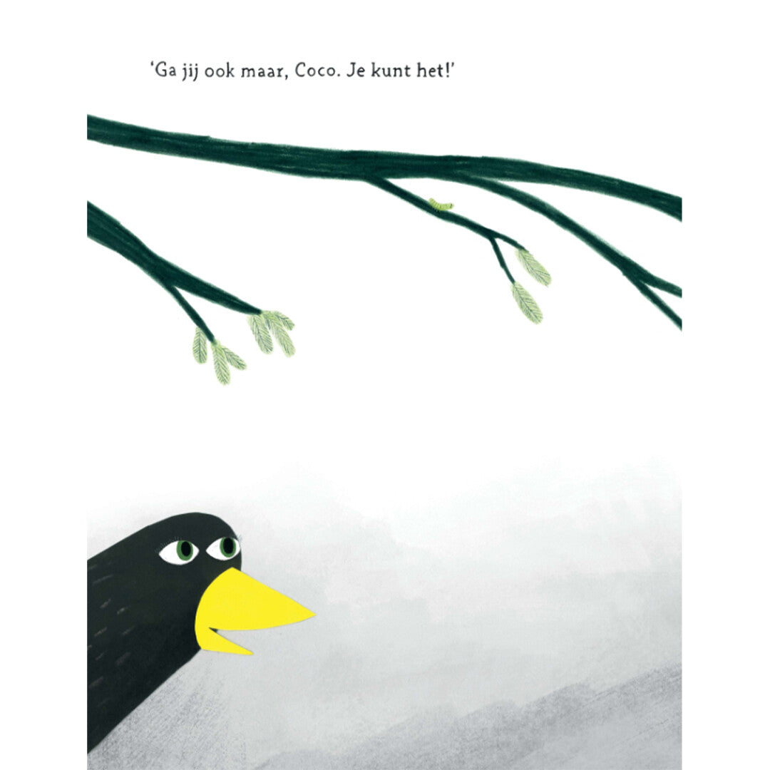 uitgeverij gottmer coco kan het | 1607192 | 3