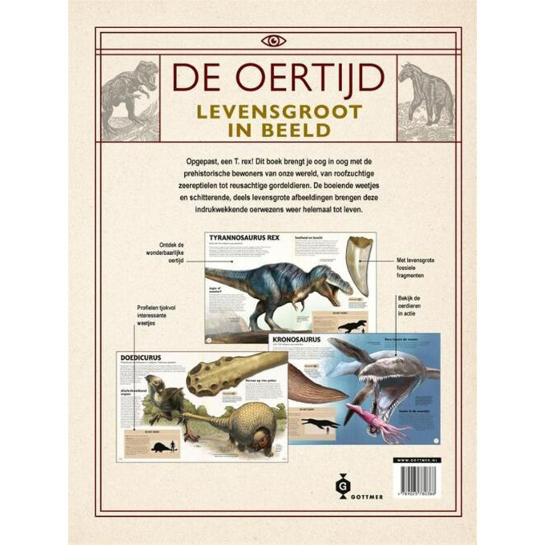 uitgeverij-gottmer-de-oertijd-levensgroot-in-beeld_2