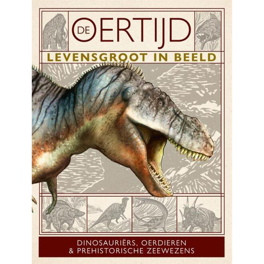 uitgeverij-gottmer-de-oertijd-levensgroot-in-beeld_3