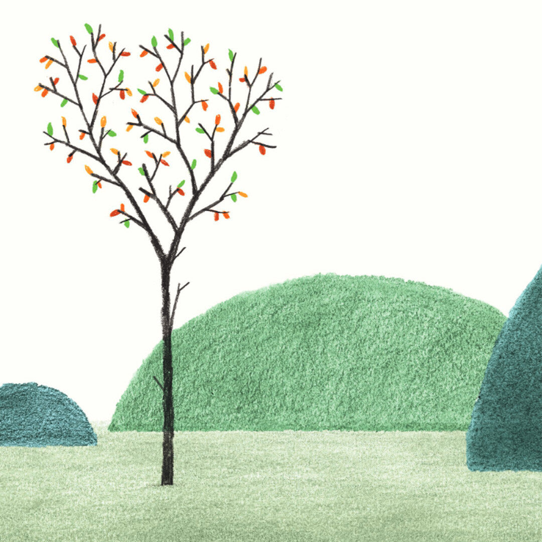 uitgeverij gottmer frank en bert op de fiets | 1607718 | 4