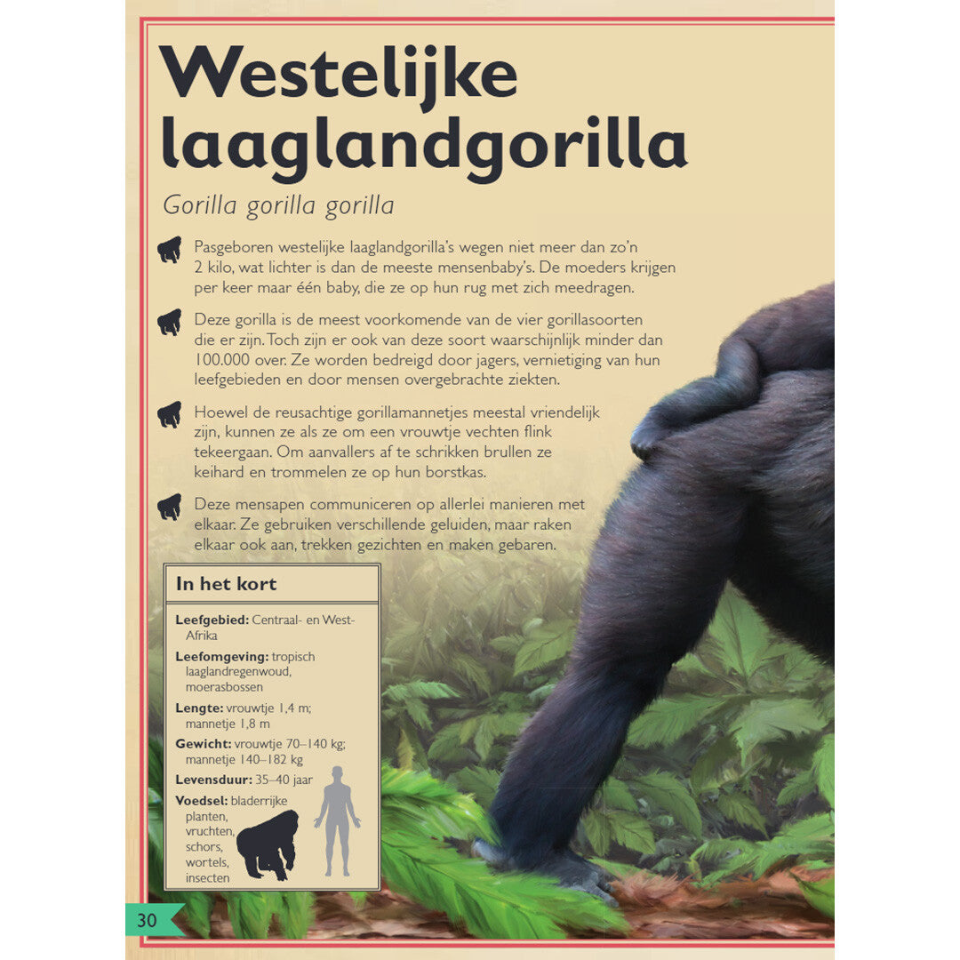 uitgeverij gottmer het allermooiste boek over apen | 1607868 | 1