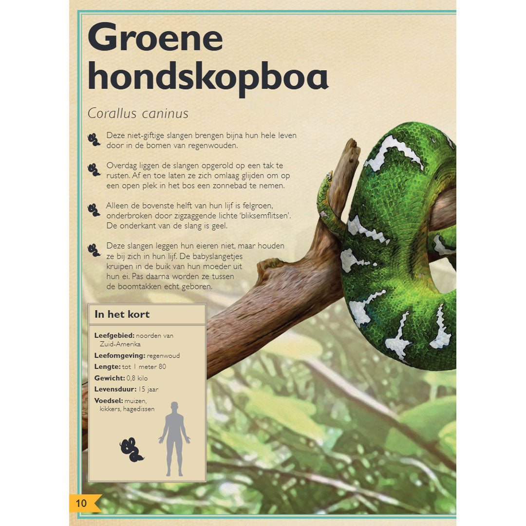 uitgeverij gottmer het allermooiste boek over reptielen en amfibieën | 1608016 | 1