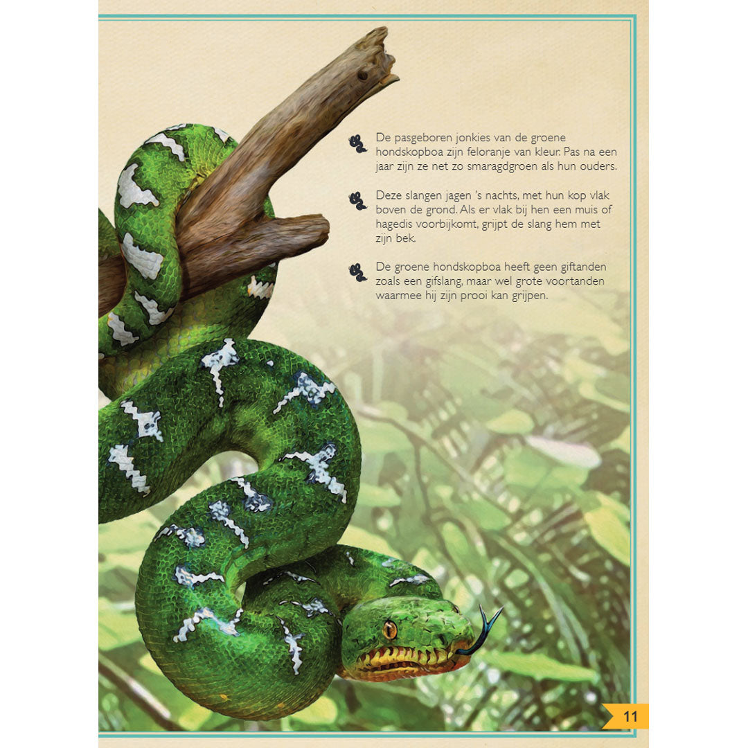 uitgeverij gottmer het allermooiste boek over reptielen en amfibieën | 1608016 | 2