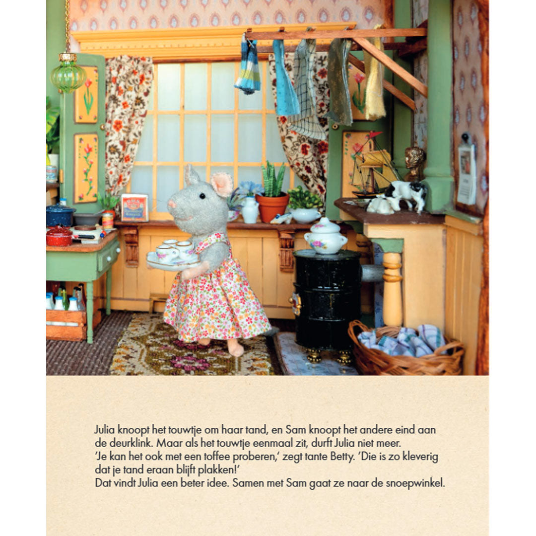 uitgeverij-gottmer-het-muizenhuis-de-tandenmuis_5