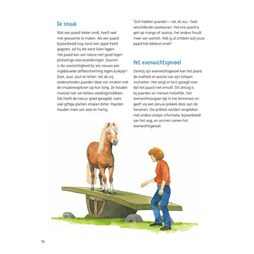 uitgeverij kluitman alles over paarden | 1411906 | 10