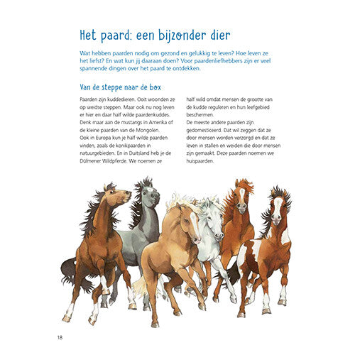 uitgeverij kluitman alles over paarden | 1411906 | 12