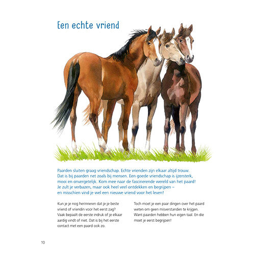 uitgeverij kluitman alles over paarden | 1411906 | 4