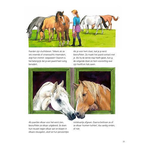 uitgeverij kluitman alles over paarden | 1411906 | 5