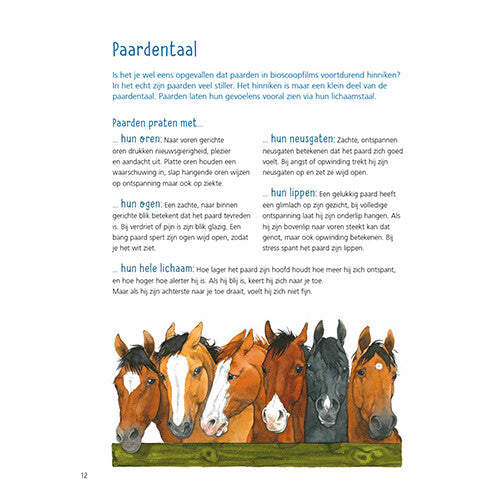 uitgeverij kluitman alles over paarden | 1411906 | 6