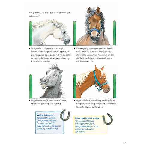 uitgeverij kluitman alles over paarden | 1411906 | 7