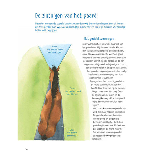 uitgeverij kluitman alles over paarden | 1411906 | 8