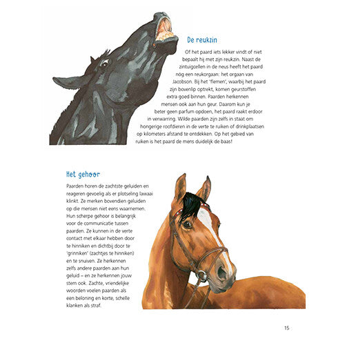 uitgeverij kluitman alles over paarden | 1411906 | 9