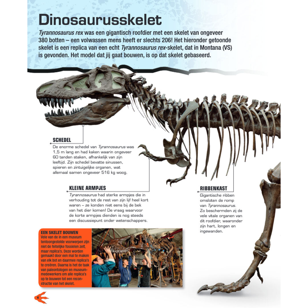uitgeverij lannoo bouwpakket maak je eigen t-rex | 1552750 | 1