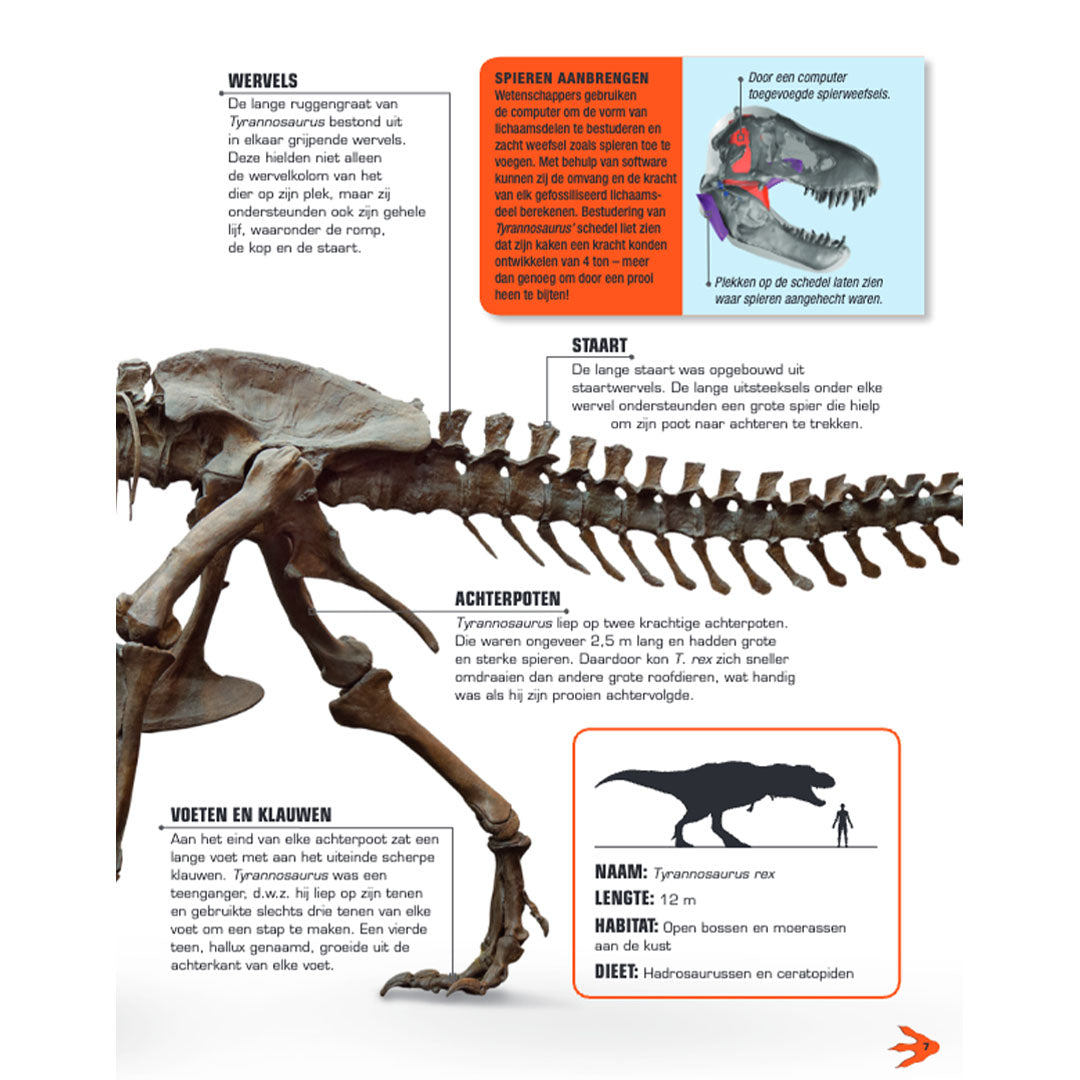 uitgeverij lannoo bouwpakket maak je eigen t-rex | 1552750 | 2