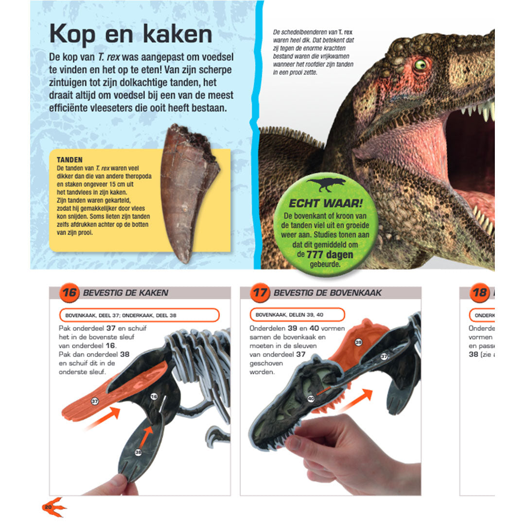 uitgeverij lannoo bouwpakket maak je eigen t-rex | 1552750 | 3