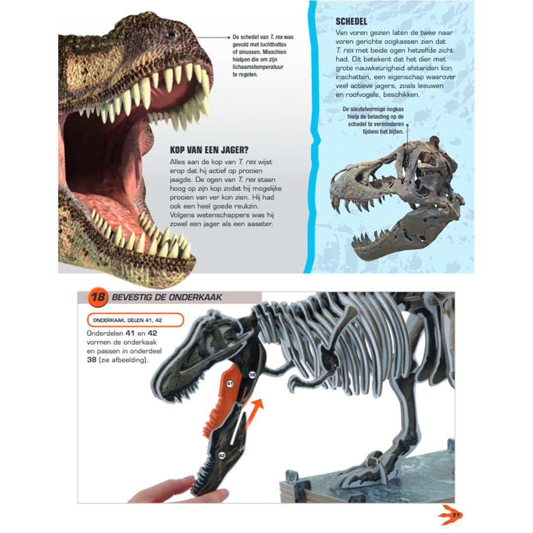 uitgeverij lannoo bouwpakket maak je eigen t-rex | 1552750 | 4