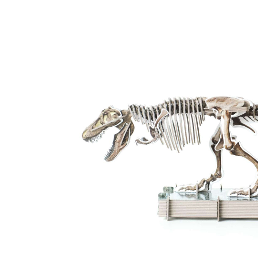 uitgeverij lannoo bouwpakket maak je eigen t-rex | 1552750 | 5