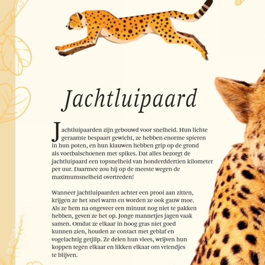 uitgeverij lannoo het dikke boek van alle bijzondere dieren | 1555680 | 4