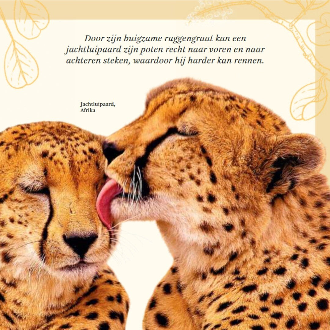 uitgeverij lannoo het dikke boek van alle bijzondere dieren | 1555680 | 5