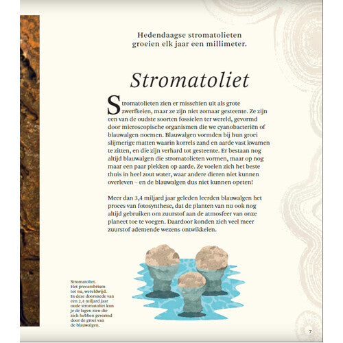 uitgeverij lannoo het dikke boek van alle bijzondere dino's | 1558153 | 10
