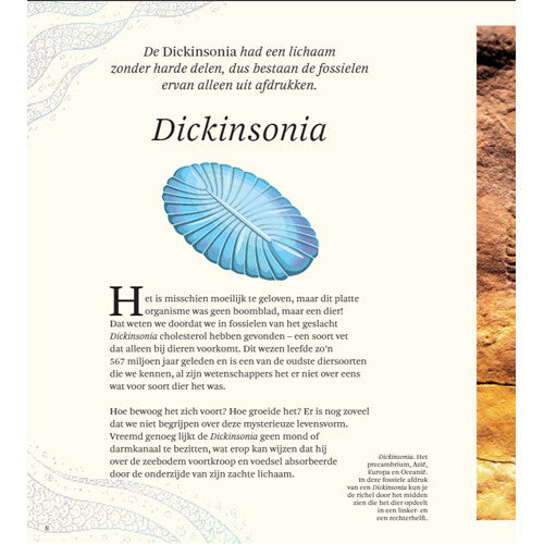 uitgeverij lannoo het dikke boek van alle bijzondere dino's | 1558153 | 11