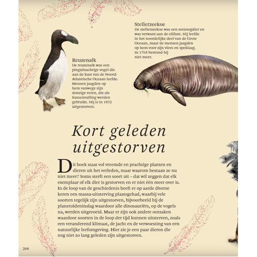 uitgeverij lannoo het dikke boek van alle bijzondere dino's | 1558153 | 13