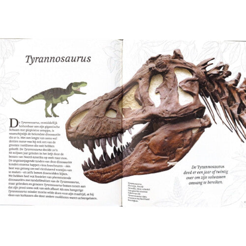 uitgeverij lannoo het dikke boek van alle bijzondere dino's | 1558153 | 3