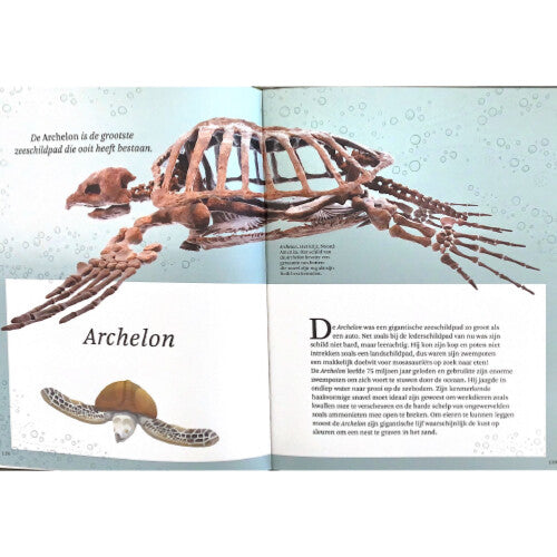 uitgeverij lannoo het dikke boek van alle bijzondere dino's | 1558153 | 4