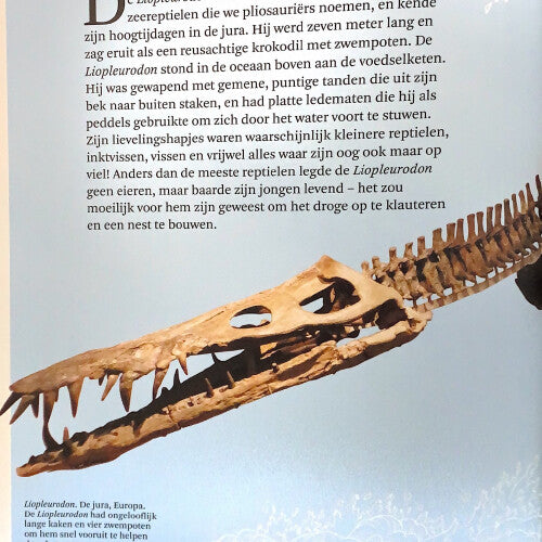 uitgeverij lannoo het dikke boek van alle bijzondere dino's | 1558153 | 5