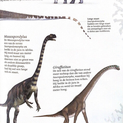 uitgeverij lannoo het dikke boek van alle bijzondere dino's | 1558153 | 6