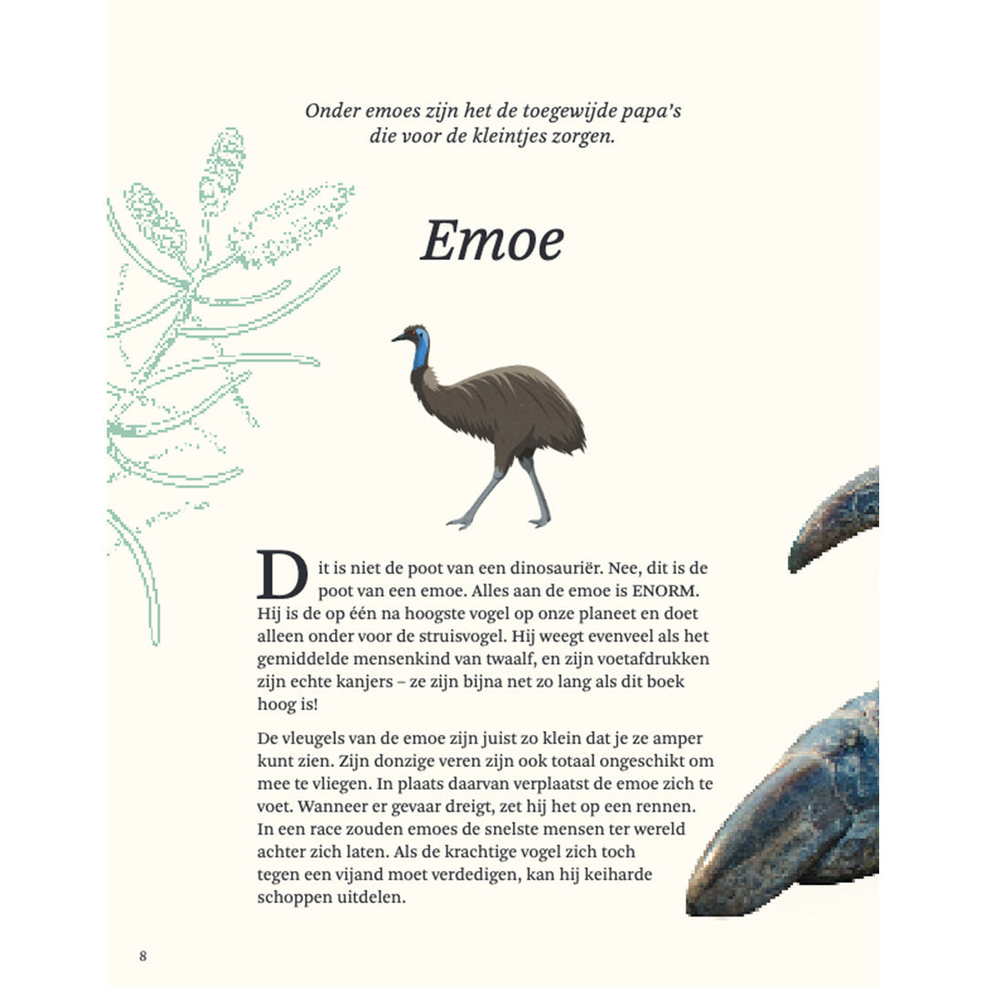 uitgeverij lannoo het dikke boek van alle bijzondere vogels | 1554315 | 5
