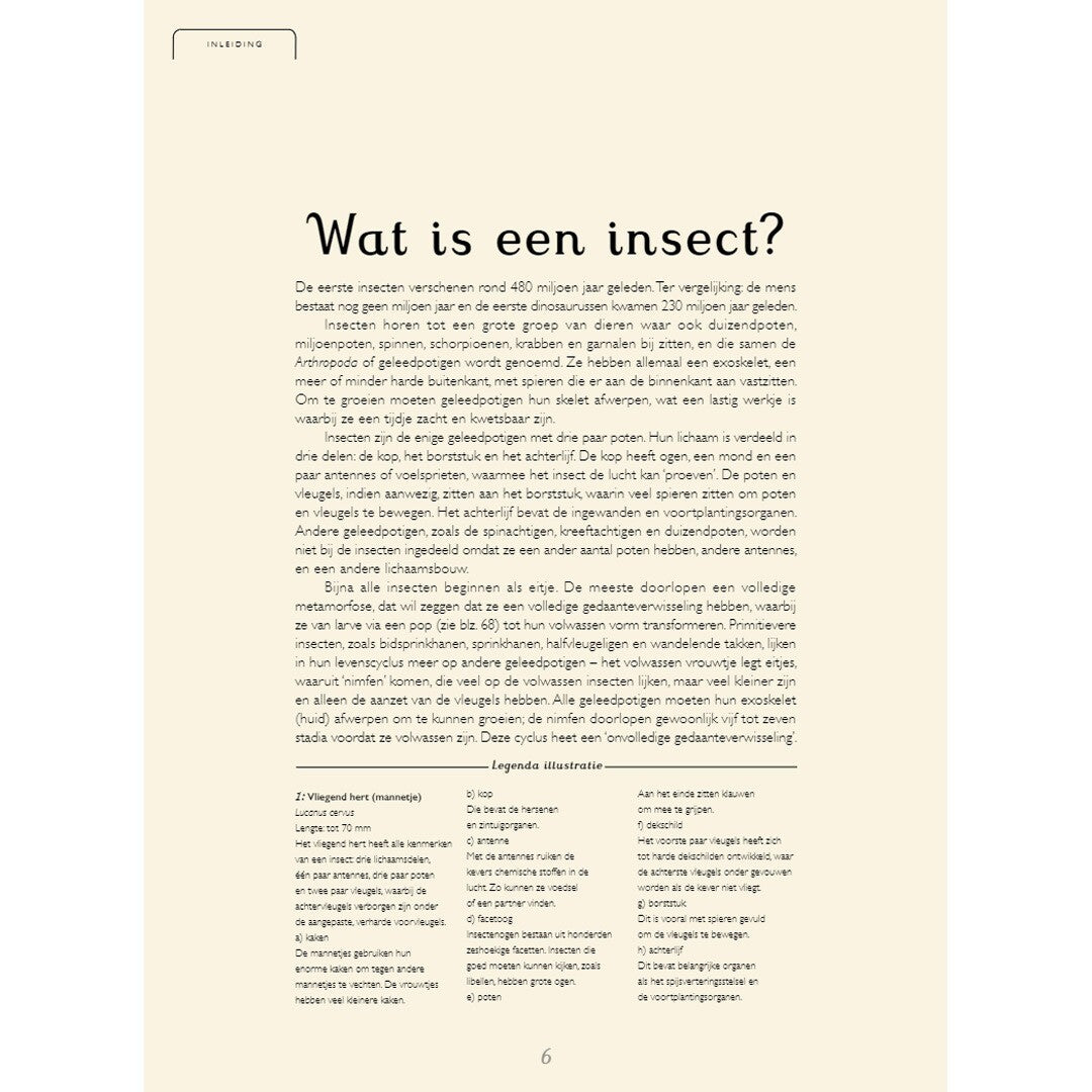 uitgeverij lannoo insecten | 1551742 | 4