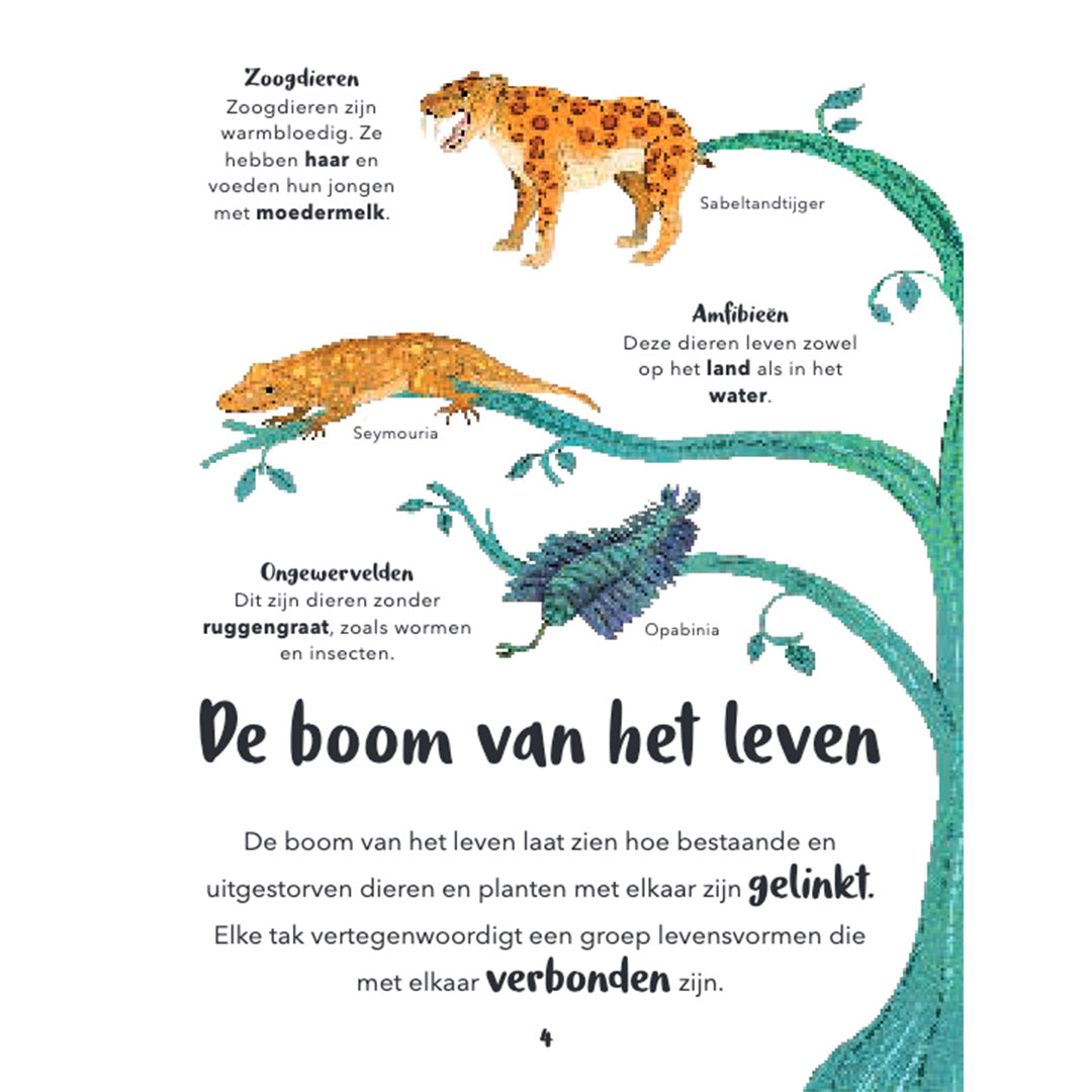 uitgeverij lannoo mijn eerste bijzondere boek van dinosaurussen en andere prehistorische dieren | 15533178 | 1
