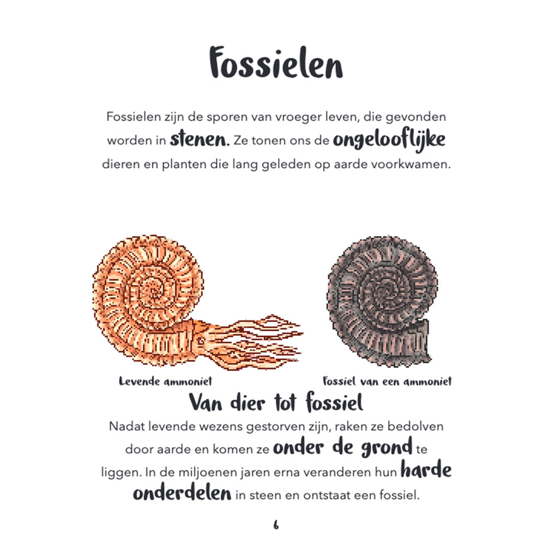 uitgeverij lannoo mijn eerste bijzondere boek van dinosaurussen en andere prehistorische dieren | 15533178 | 3