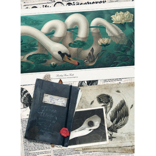 uitgeverij lannoo terra ultima | 1556594 | 2
