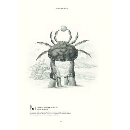 uitgeverij lannoo terra ultima | 1556594 | 8