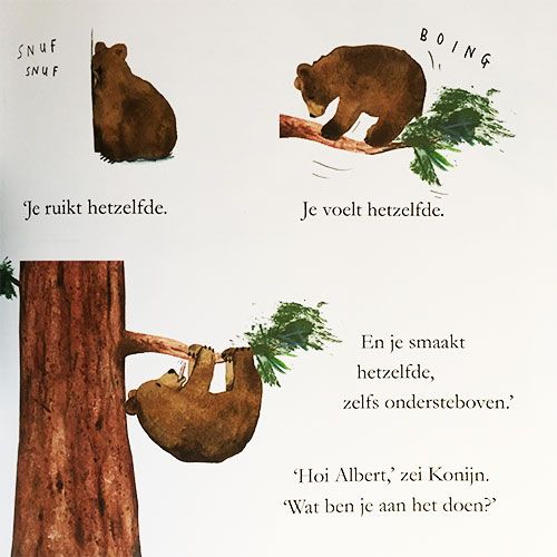 uitgeverij lemniscaat alberts boom | 1630762 | 1