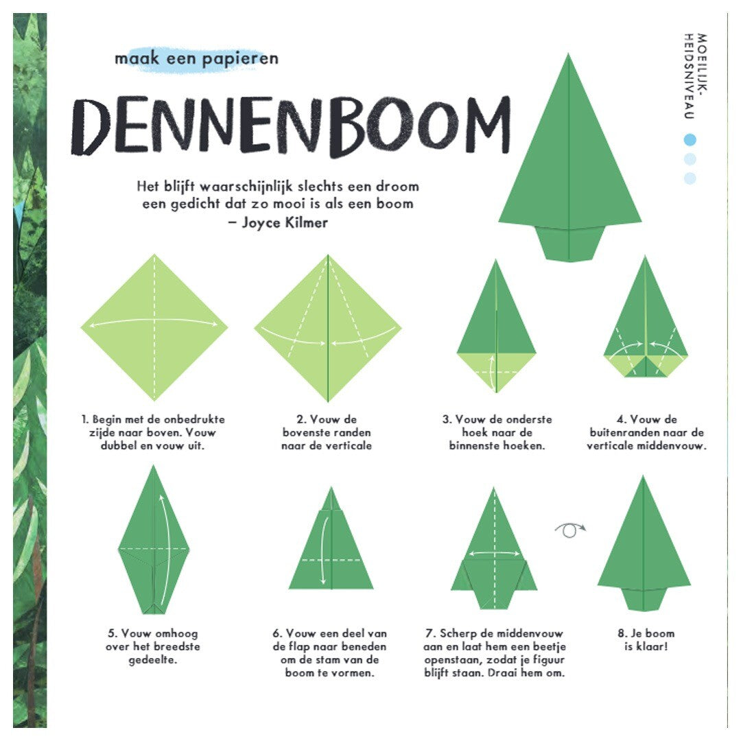 uitgeverij lemniscaat bloemenorigami | 1631601 | 1