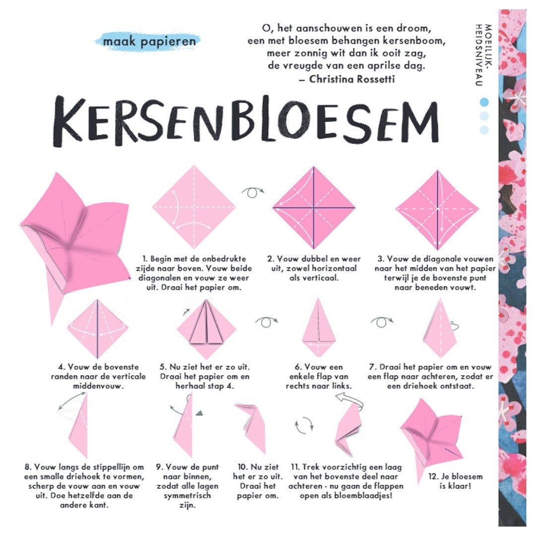 uitgeverij lemniscaat bloemenorigami | 1631601 | 4