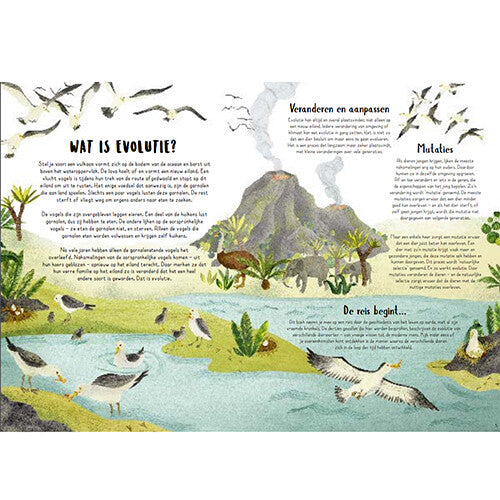 Walvis Bladwijzers Leuke Boek Mark Briefpapier Lezen Accessoires Papier Boek Label 30 Stks Walvis Realistisch Walvis Bladwijzers Leuke Boek Mark Briefpapier Lezen Accessoires Papier Boek Label 30 Stks Walvis Realistisch