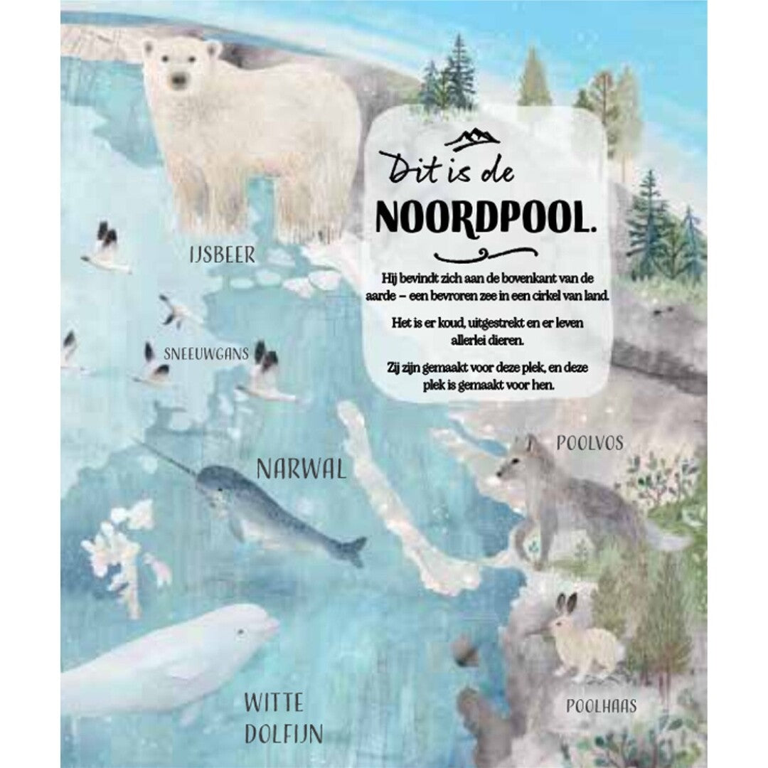 uitgeverij lemniscaat een noordpoolverhaal | 1631577 | 2