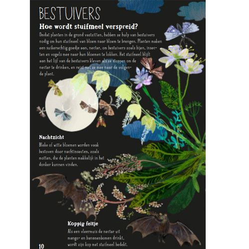 uitgeverij lemniscaat het briljante bloemen boek | 1631205 | 2