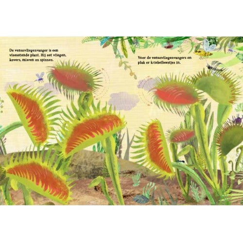 uitgeverij lemniscaat het briljante bloemen stickerboek | 1631249 | 3