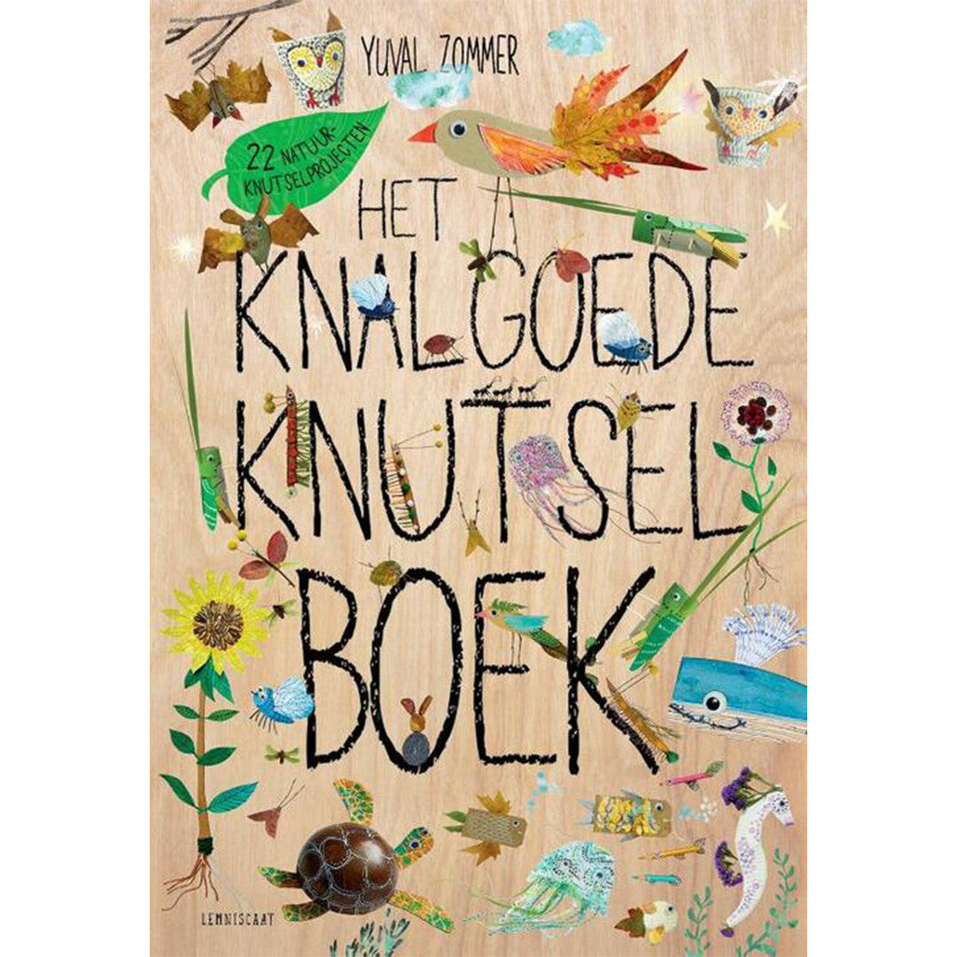 uitgeverij lemniscaat het knalgoede knutselboek | 1631555 | 0