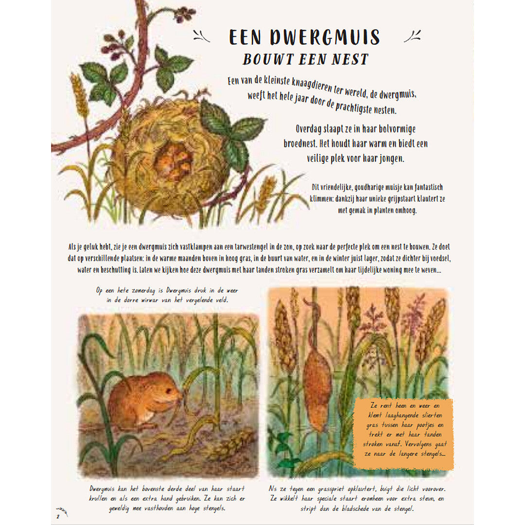 uitgeverij lemniscaat kalm aan... hier en nu | 1631439 | 1